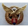 Slovenský pilotní odznak